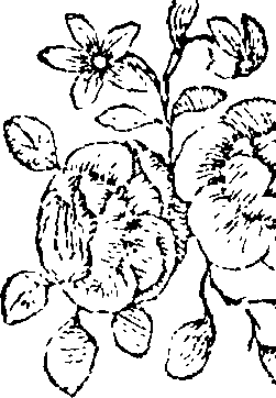 070/070000040001020_0.png