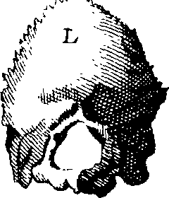 070/070000050000460_0.png