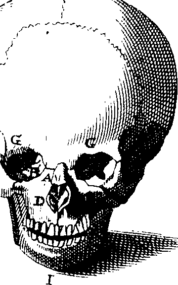 070/070000050000610_1.png