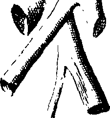 070/070000050001950_1.png
