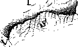 070/070000050002300_0.png