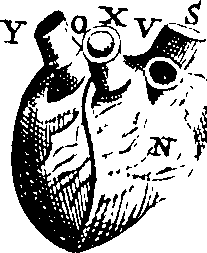 070/070000050002790_1.png