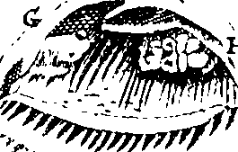 070/070000050003840_2.png