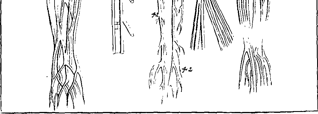 070/070000050004190_0.png