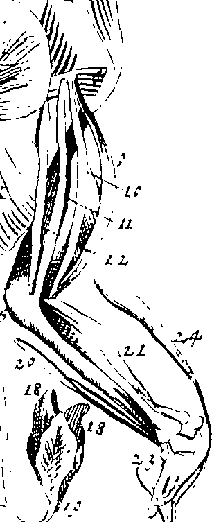 070/070000050004520_0.png