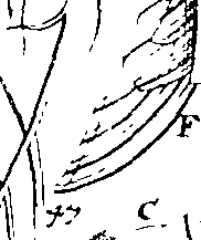 070/070000050004520_1.png