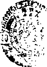 070/070300010001400_0.png