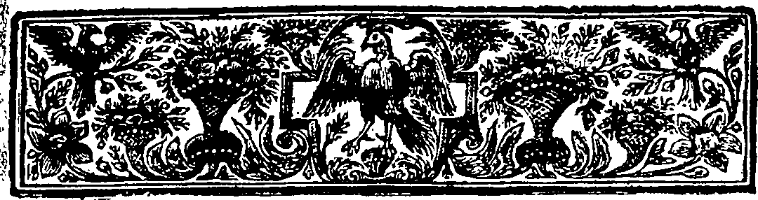 070/070350020000110_1.png