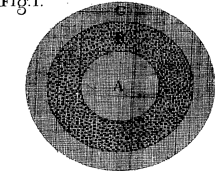 070/070360190000100_0.png