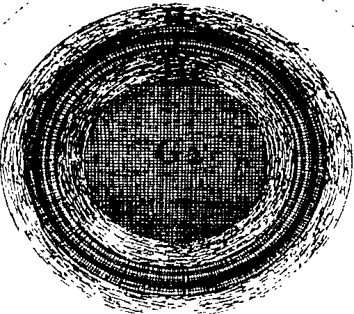 070/070360190000170_1.png