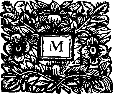 070/070420080000020_0.png