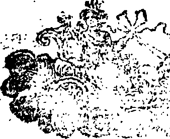 070/070480130000880_0.png