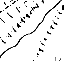 070/070560050000040_0.png