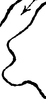 070/070560050000320_0.png