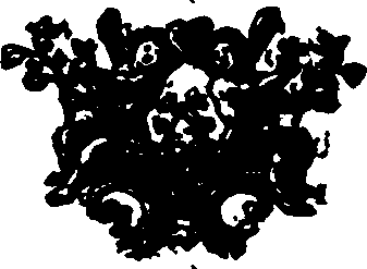 070/070600080000470_0.png