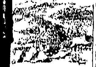 070/070630100000270_0.png