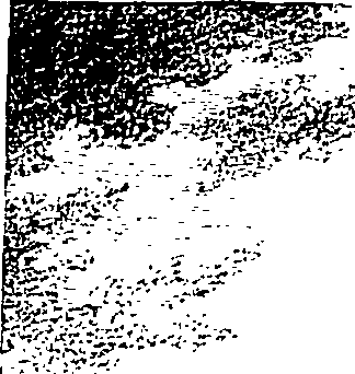 070/070630110000050_0.png