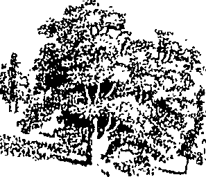070/070630110000080_0.png