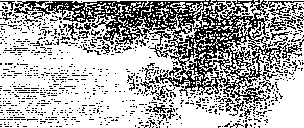 070/070630110000480_0.png