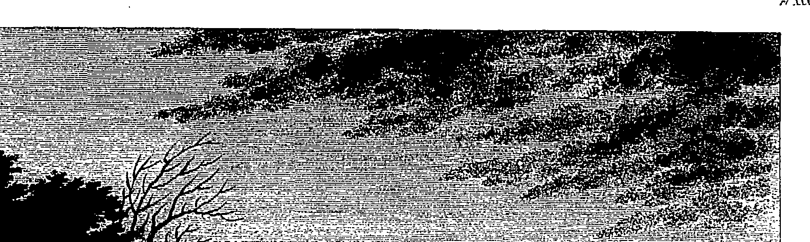070/070630110001320_0.png