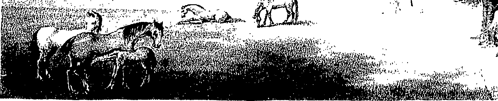 070/070630110001360_0.png