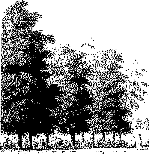 070/070630110001360_1.png