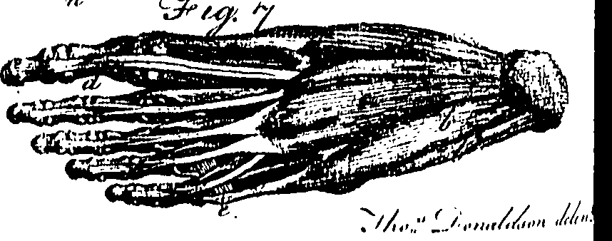 070/070650030104470_0.png