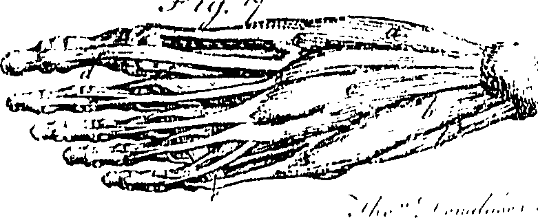 070/070650030104490_0.png