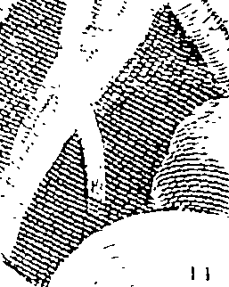 070/070650030204710_1.png
