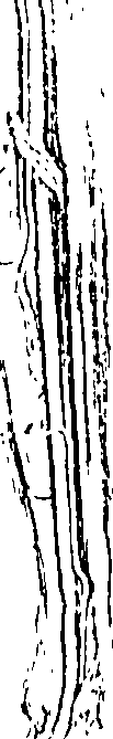 070/070660010302320_0.png