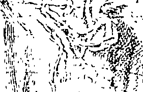 070/070660010302320_1.png