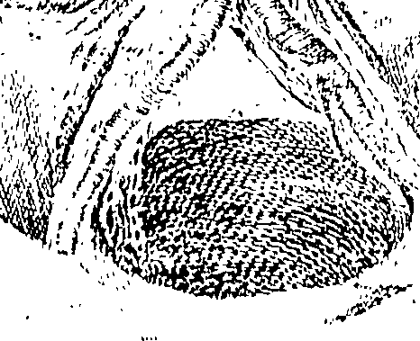 070/070660010302330_0.png