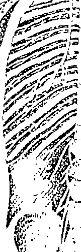 070/070660010303320_0.png