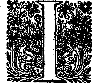 070/070720090000020_0.png