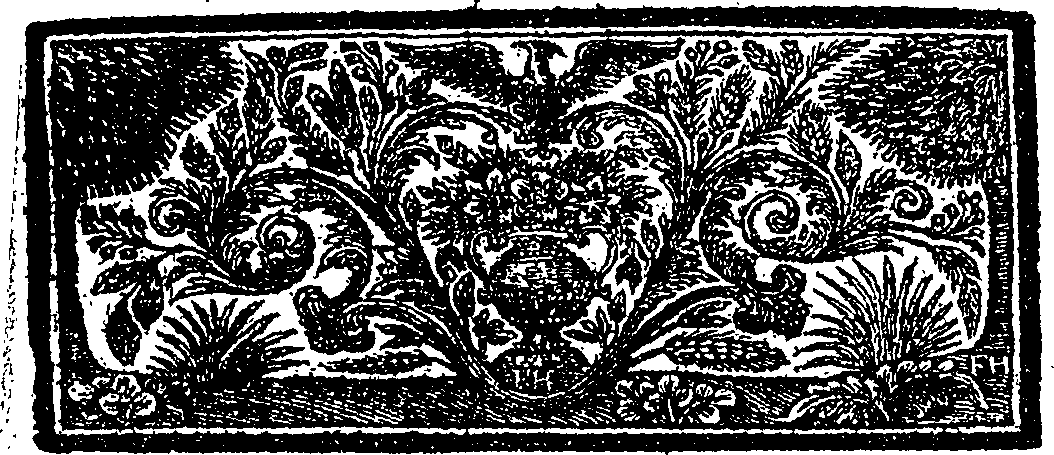 070/070720090000020_1.png