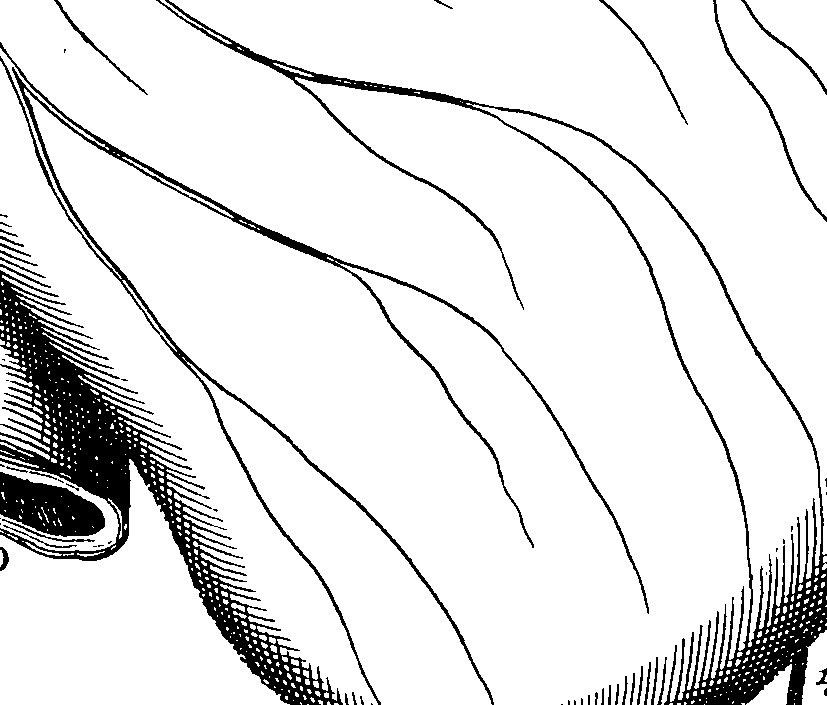 070/070790010003210_0.png