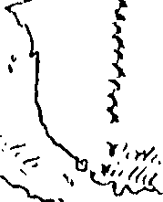 070/070840020000010_2.png