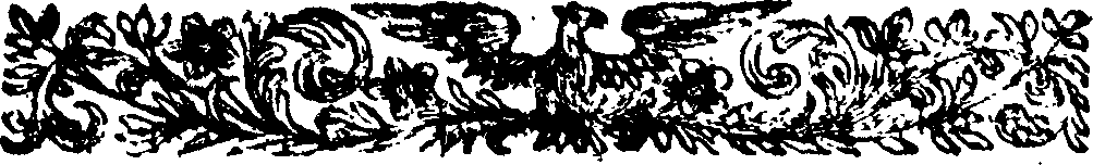 071/071120050000020_1.png