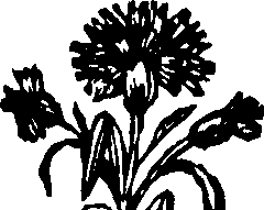 071/071570170000470_0.png