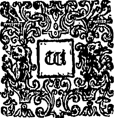 071/071590030006280_0.png
