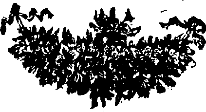 071/071650040100170_0.png