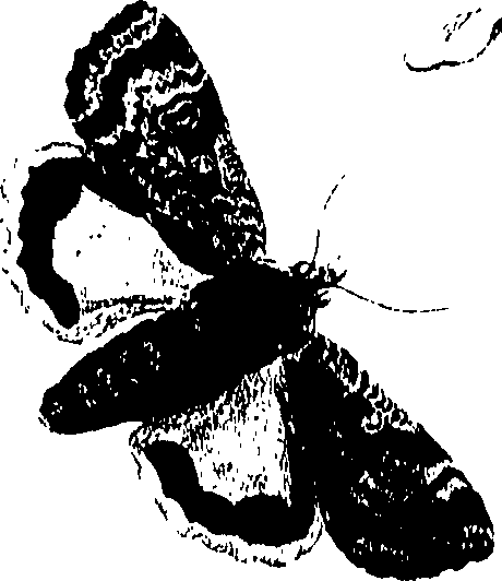 071/071680030000310_0.png