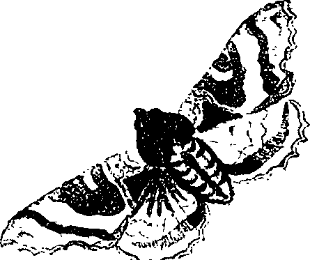 071/071680030000330_0.png
