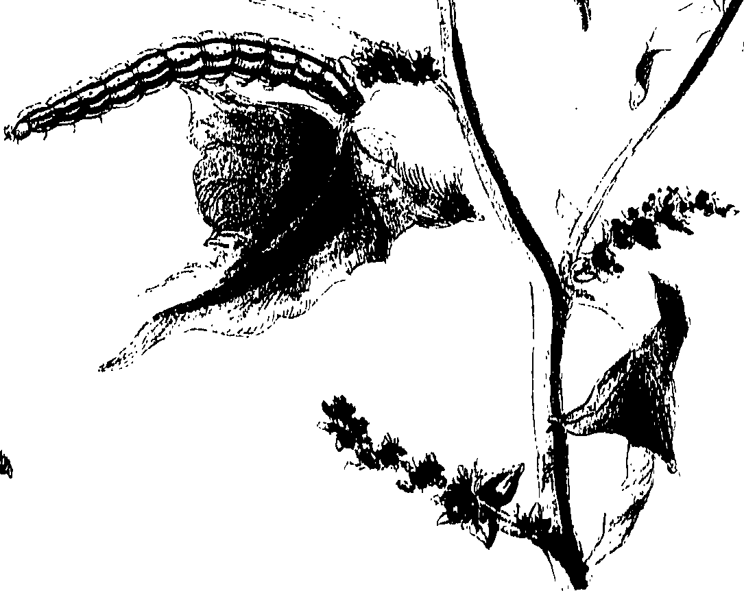 071/071680030000340_0.png