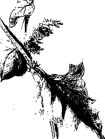 071/071680030000340_1.png