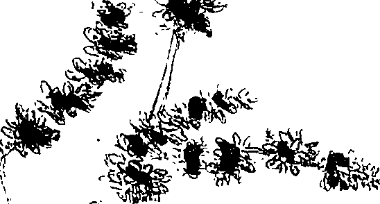 071/071680030000340_2.png