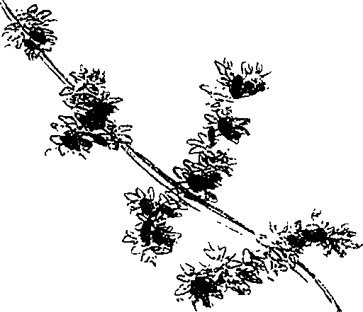 071/071680030000340_3.png