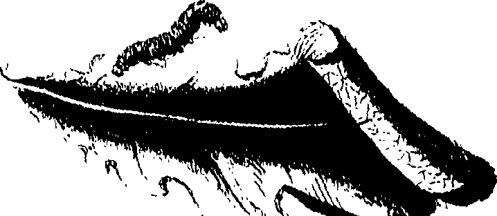 071/071680030000370_0.png