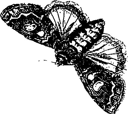 071/071680030000390_1.png