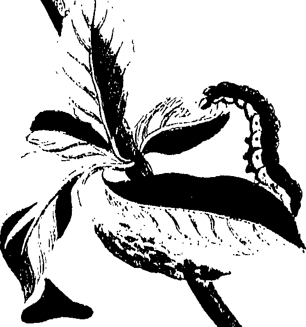 071/071680030000420_0.png